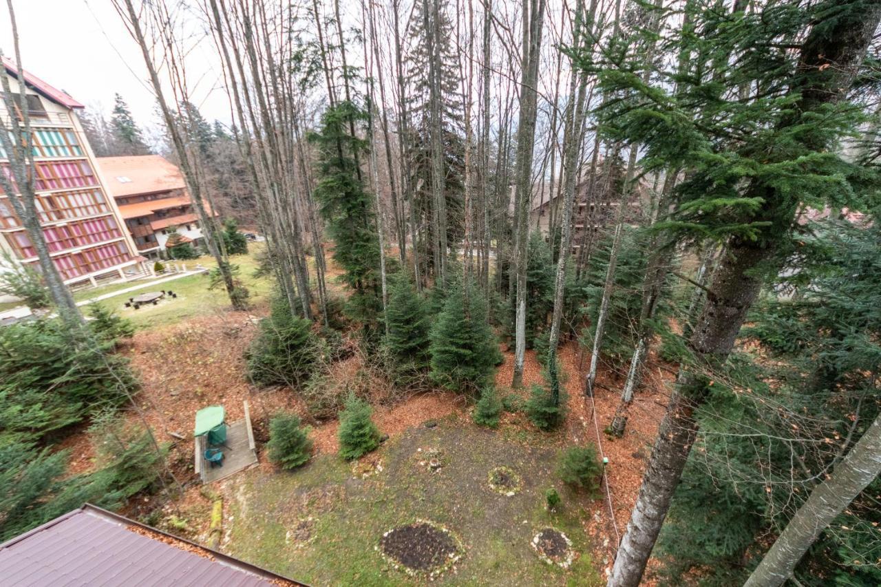 Pension Master Sinaia Exterior foto
